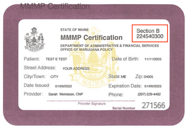 Medical Marijuana in Maine Stoner & Co.